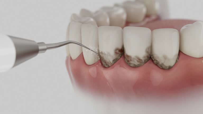 Reliable Dental contractor in Thornton, IL by Dentist Open Now
